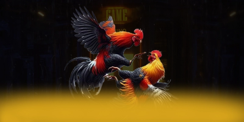 BET168 - Cổng cá cược chất lượng số 1 Việt Nam